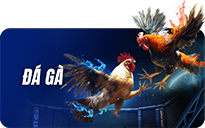 wstar77 đá gà trực tuyến